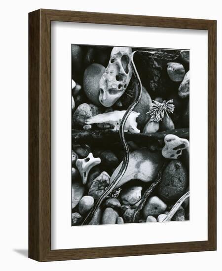 Rock, Driftwood, Kelp, Carmel Beach, 1958-Brett Weston-Framed Photographic Print