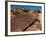 Rock Engravings, Huab River Valley, Torra Conservancy, Damaraland, Namibia, Africa-Sergio Pitamitz-Framed Photographic Print