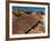 Rock Engravings, Huab River Valley, Torra Conservancy, Damaraland, Namibia, Africa-Sergio Pitamitz-Framed Photographic Print