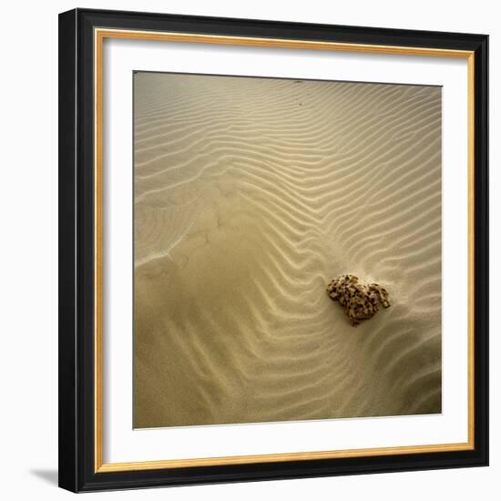 Rock Eroding in Desert Sand-Micha Pawlitzki-Framed Photographic Print