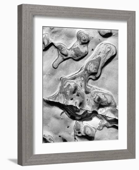 Rock Formation, 1952-Brett Weston-Framed Photographic Print