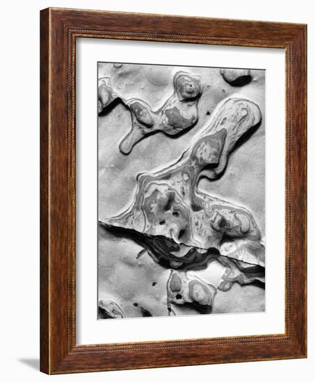 Rock Formation, 1952-Brett Weston-Framed Photographic Print