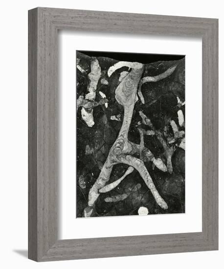 Rock Formation, 1966-Brett Weston-Framed Premium Photographic Print