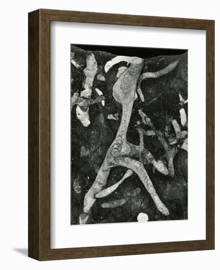 Rock Formation, 1966-Brett Weston-Framed Premium Photographic Print