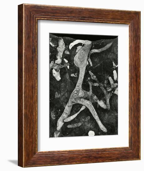 Rock Formation, 1966-Brett Weston-Framed Premium Photographic Print