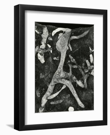 Rock Formation, 1966-Brett Weston-Framed Premium Photographic Print