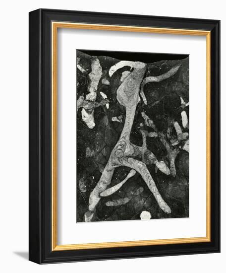 Rock Formation, 1966-Brett Weston-Framed Premium Photographic Print