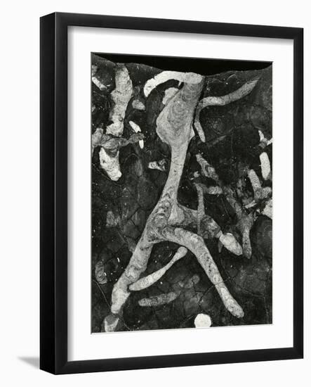 Rock Formation, 1966-Brett Weston-Framed Photographic Print