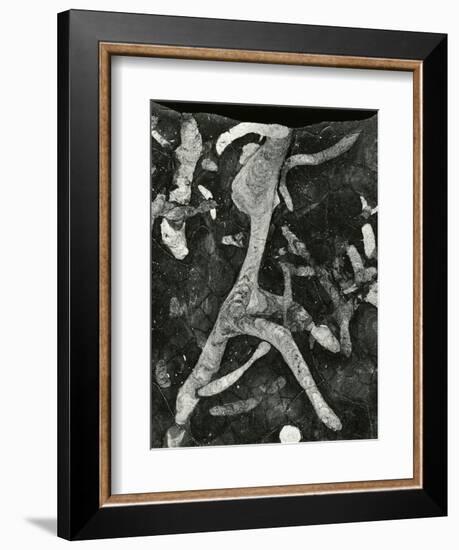 Rock Formation, 1966-Brett Weston-Framed Photographic Print