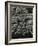 Rock Formation, 1974-Brett Weston-Framed Photographic Print