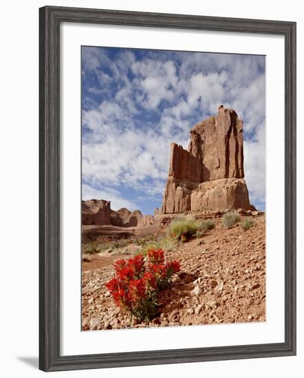 Rock Formation and Common Paintbrush (Castilleja Chromosa), Arches National Park, Utah, USA-James Hager-Framed Photographic Print