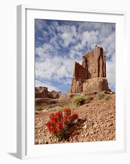 Rock Formation and Common Paintbrush (Castilleja Chromosa), Arches National Park, Utah, USA-James Hager-Framed Photographic Print