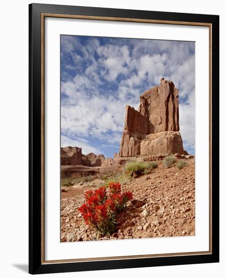 Rock Formation and Common Paintbrush (Castilleja Chromosa), Arches National Park, Utah, USA-James Hager-Framed Photographic Print