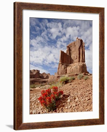 Rock Formation and Common Paintbrush (Castilleja Chromosa), Arches National Park, Utah, USA-James Hager-Framed Photographic Print