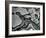 Rock Formation, c.1955-Brett Weston-Framed Photographic Print