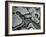 Rock Formation, c.1955-Brett Weston-Framed Premium Photographic Print