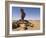 Rock Formation Called the Finger of Allah, Akakus, Sahara Desert, Fezzan, Libya-Pitamitz Sergio-Framed Photographic Print