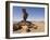 Rock Formation Called the Finger of Allah, Akakus, Sahara Desert, Fezzan, Libya-Pitamitz Sergio-Framed Photographic Print