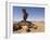 Rock Formation Called the Finger of Allah, Akakus, Sahara Desert, Fezzan, Libya-Pitamitz Sergio-Framed Photographic Print