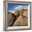 Rock Formation in Joshua Tree National Park-Micha Pawlitzki-Framed Photographic Print