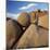 Rock Formation in Joshua Tree National Park-Micha Pawlitzki-Mounted Photographic Print