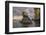 Rock formation off Bartholomew Island, Galapagos Islands, Ecuador.-Adam Jones-Framed Photographic Print