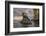 Rock formation off Bartholomew Island, Galapagos Islands, Ecuador.-Adam Jones-Framed Photographic Print