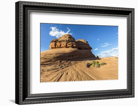 Rock formation on the way to Delicate Arch, Arches National Park, Moab, Grand County, Utah, United -Francesco Vaninetti-Framed Photographic Print