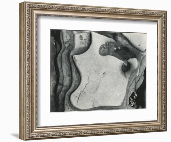 Rock Formation, Point Lobos, California, 1951-Brett Weston-Framed Photographic Print