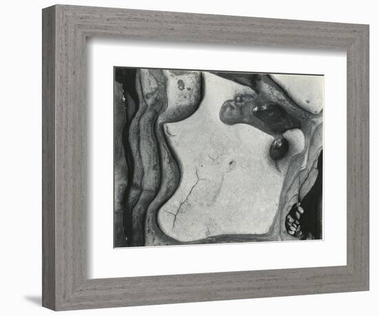 Rock Formation, Point Lobos, California, 1951-Brett Weston-Framed Photographic Print