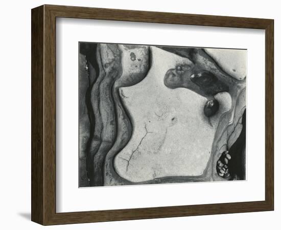 Rock Formation, Point Lobos, California, 1951-Brett Weston-Framed Photographic Print