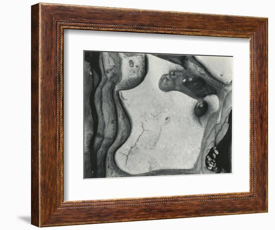 Rock Formation, Point Lobos, California, 1951-Brett Weston-Framed Photographic Print