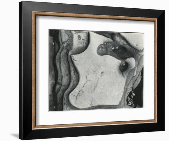 Rock Formation, Point Lobos, California, 1951-Brett Weston-Framed Photographic Print