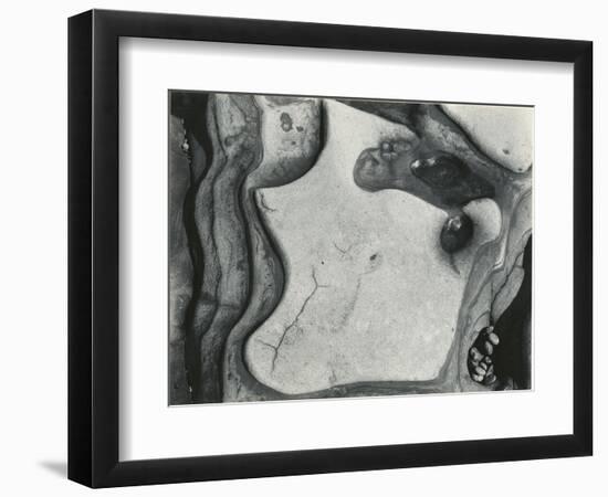 Rock Formation, Point Lobos, California, 1951-Brett Weston-Framed Photographic Print