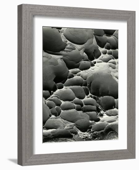 Rock Formation, Shore Acres, Oregon, 1975-Brett Weston-Framed Photographic Print