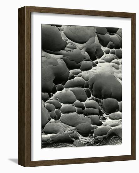 Rock Formation, Shore Acres, Oregon, 1975-Brett Weston-Framed Photographic Print