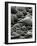 Rock Formation, Shore Acres, Oregon, 1975-Brett Weston-Framed Photographic Print