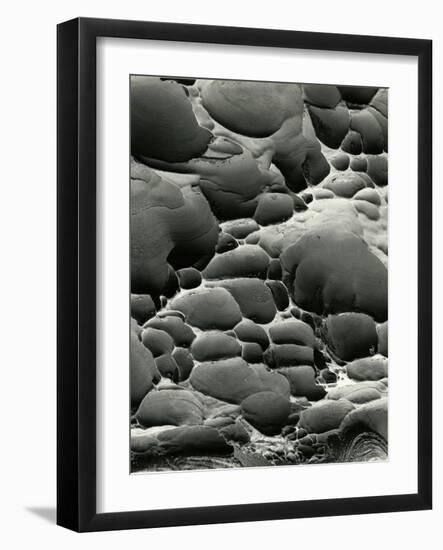 Rock Formation, Shore Acres, Oregon, 1975-Brett Weston-Framed Photographic Print