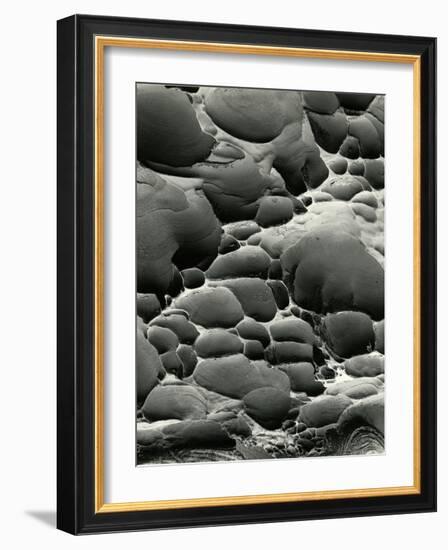 Rock Formation, Shore Acres, Oregon, 1975-Brett Weston-Framed Photographic Print