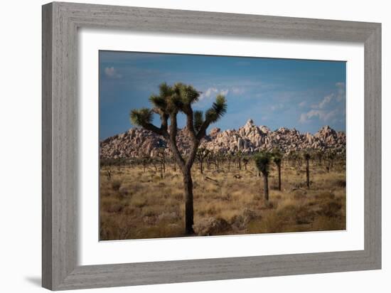 Rock Formations II-Erin Berzel-Framed Photographic Print