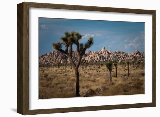 Rock Formations II-Erin Berzel-Framed Photographic Print