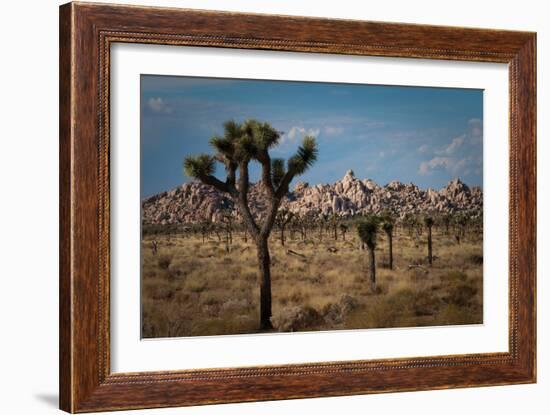 Rock Formations II-Erin Berzel-Framed Photographic Print