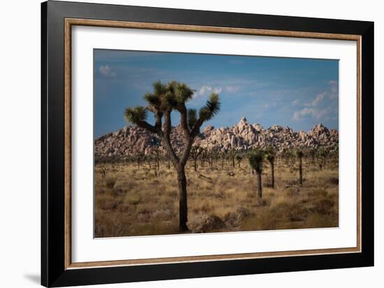 Rock Formations II-Erin Berzel-Framed Photographic Print