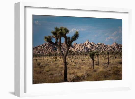 Rock Formations II-Erin Berzel-Framed Photographic Print