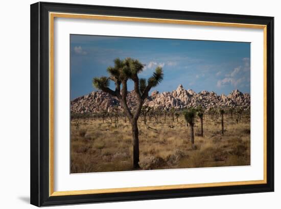 Rock Formations II-Erin Berzel-Framed Photographic Print