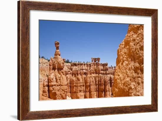 Rock Formations in Bryce Canyon National Park-Paul Souders-Framed Photographic Print