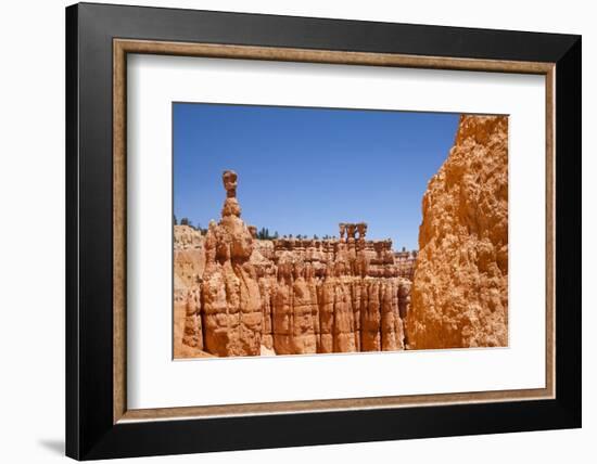 Rock Formations in Bryce Canyon National Park-Paul Souders-Framed Photographic Print