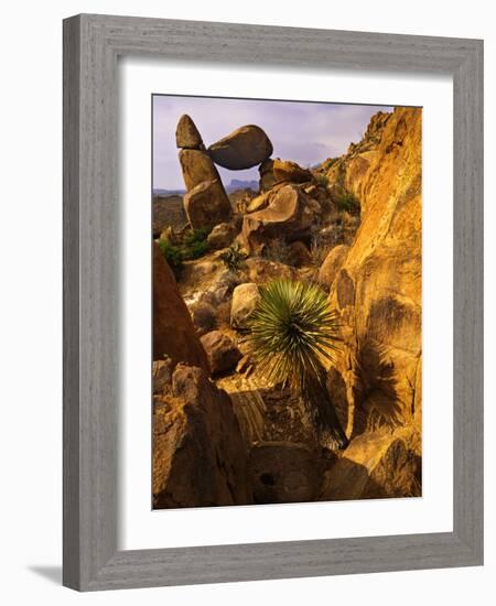 Rock Formations in Grapevine Hills, Big Bend National Park, Texas, USA-Jerry Ginsberg-Framed Photographic Print