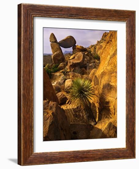 Rock Formations in Grapevine Hills, Big Bend National Park, Texas, USA-Jerry Ginsberg-Framed Photographic Print