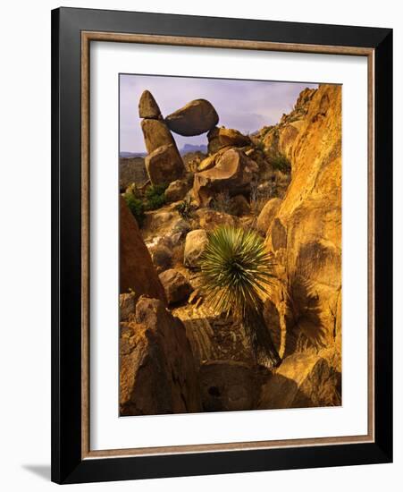 Rock Formations in Grapevine Hills, Big Bend National Park, Texas, USA-Jerry Ginsberg-Framed Photographic Print